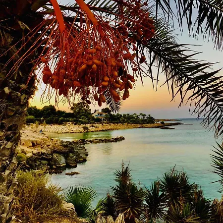 Zoe's By Turtle Bay Villa *